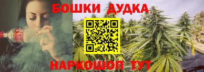 гидра Кандалакша