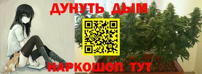 гидра Кандалакша