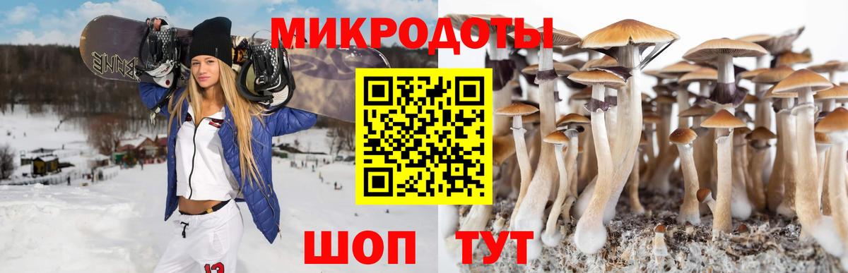 Галлюциногенные грибы Cubensis Кузнецк