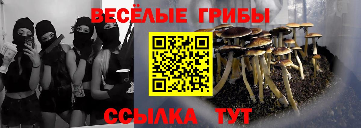 Кузнецк  Галлюциногенные грибы мухоморы  Галлюциногенные грибы GOLDEN TEACHER  Вход с VPN 